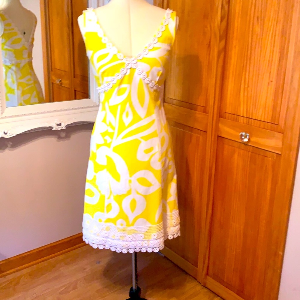 J. Crew Dress